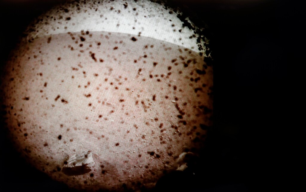 (NASA via The Associated Press) An image transmitted from Mars by the InSight lander is seen on a computer screen at NASA's Jet Propulsion Laboratory Monday, Nov. 26, 2018, in Pasadena, Calif.