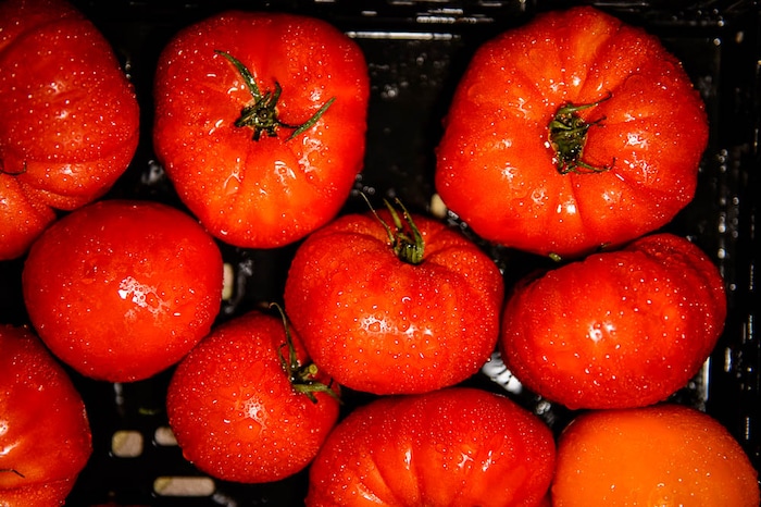(Trent Nelson | The Salt Lake Tribune)  Heirloom tomatoes from Asian & Heirlooms at the Tuesday Farmer's Market in Salt Lake City's Pioneer Park, Tuesday Aug. 14, 2018. The laid-back market continues now through September and features about 20 vendors.