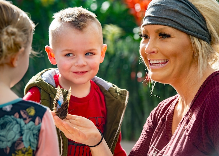 (Rick Egan  |  The Salt Lake Tribune)   Three-year-old Harper Steele is not sure she wants to touch the butterfly, as she gets a close up look with Kruze Steele, 3, as it is held by Candice Steele, at the Butterfly Biosphere at Thanksgiving Point’s Water Tower Plaza in Lehi. Tuesday, Jan. 22, 2019.  The New Butterfly Biosphere is home to more than a thousand butterflies from around the world..