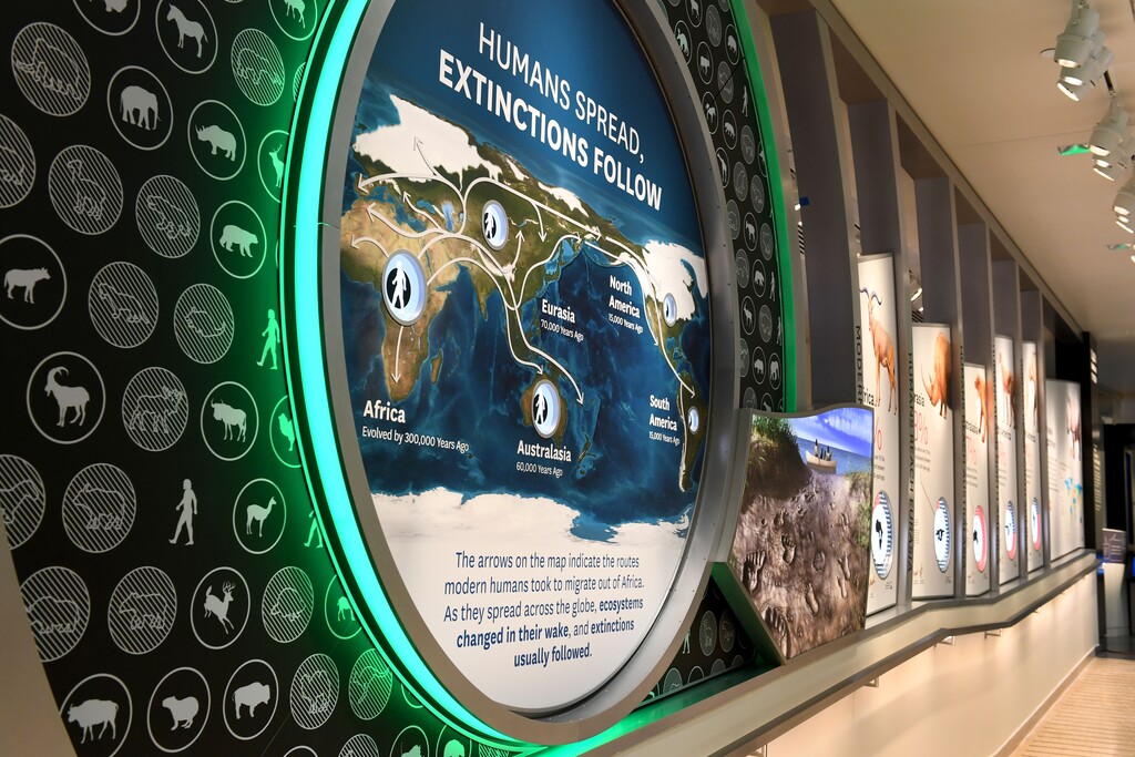 (Katherine Frey | The Washington Post) The new fossil hall takes a radical new approach to discussing Earth's past by using paleontology to explain modern-day climate change.
