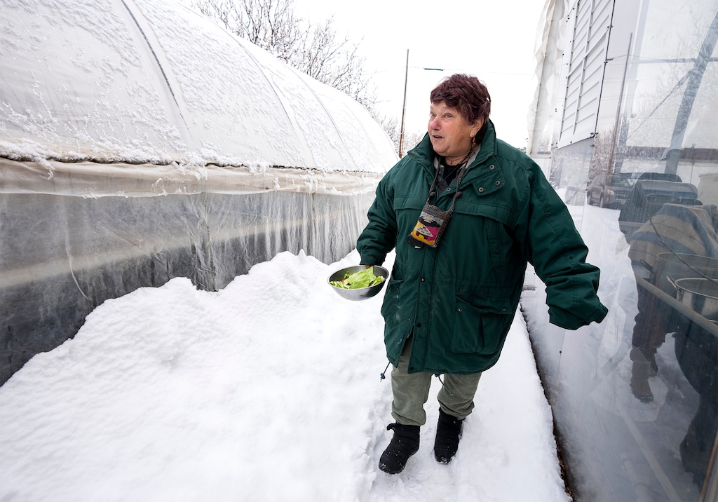 (Rick Egan | The Salt Lake Tribune) Petie Hale brings food to a bunny she cares for at Wasatch Community Gardens' Green Phoenix Farm on Tuesday, Jan. 3, 2023. Hale, now 65, became part of a growing number of older Utahns experiencing homelessness.