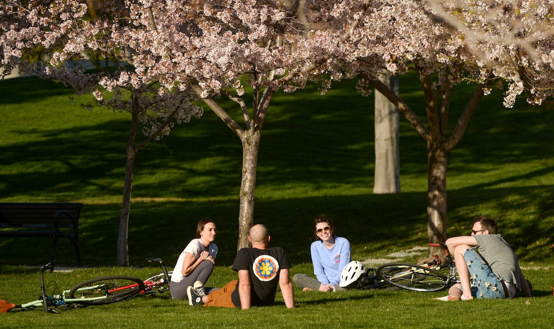 (Leah Hogsten  |  The Salt Lake Tribune) Friday’s sunshine and fresh air brought many visitors to the Capitol grounds to walk under the blossoming Yoshino cherry trees that line the .7 mile Memorial Walkway encircling Capitol Hill, April 10, 2020.
