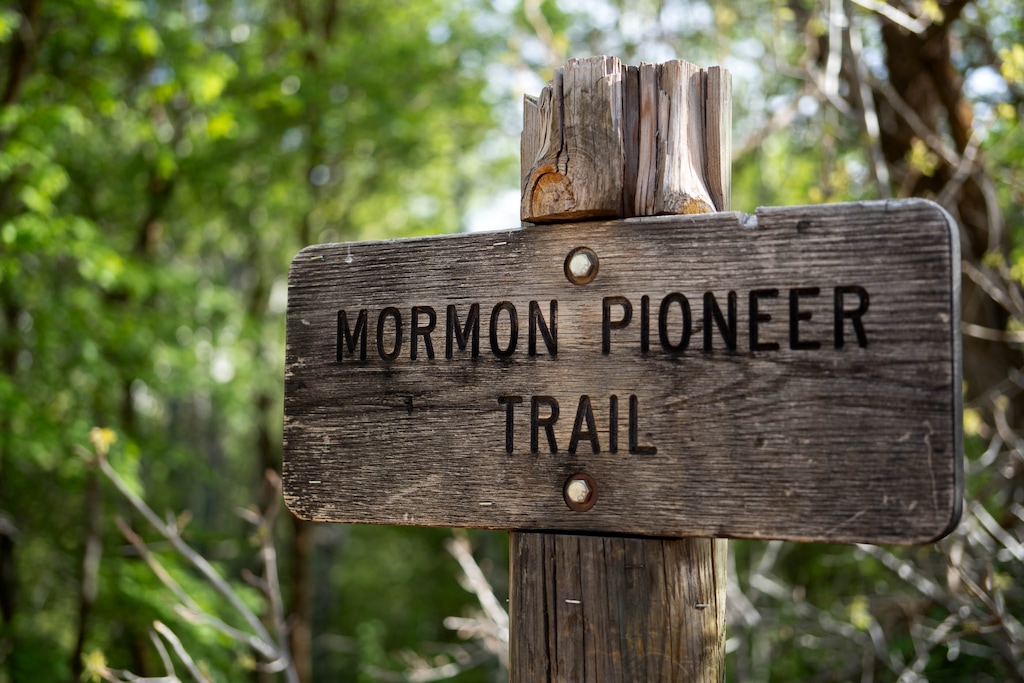 (Francisco Kjolseth | The Salt Lake Tribune) The hike along the West section of the Mormon Pioneer Trail from Affleck Park to Big Mountain Pass offers canyon views, numerous wildflowers, ample shade and requires a will to share the trail due to its popularity with mountain bikers.