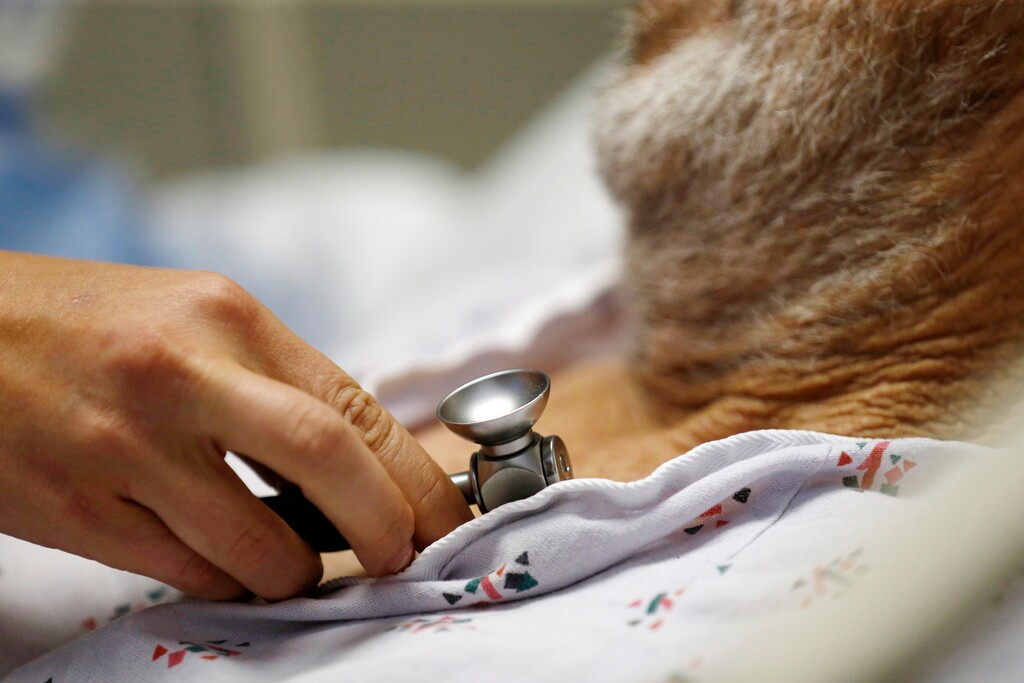 (Gerald Herbert | Associated Press) A medical student examines a patient on Thursday, July 11, 2019. 