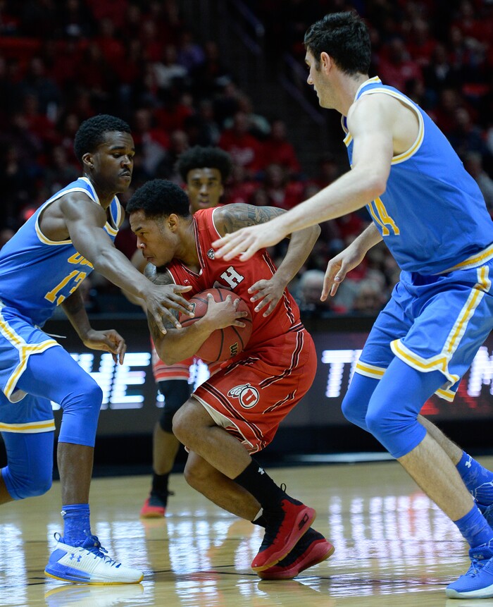 (Francisco Kjolseth  |  The Salt Lake Tribune)  Utah Utes guard Justin Bibbins (1) battles UCLA as the University of Utah hosts UCLA in NCAA basketball at the Huntsman Center in Salt Lake City, Thursday, Feb. 22, 2018.