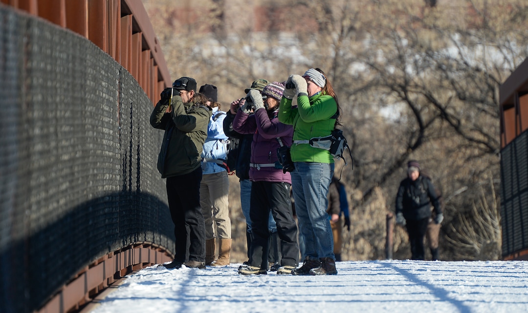 (Francisco Kjolseth  |  The Salt Lake Tribune)  A group of Audubon members walk a long stretch of the Jordan River from Bangerter Highway to South Jordan on New Year's Day counting birds as part of the annual survey, now its 119th year, done by multiple members across Utah.