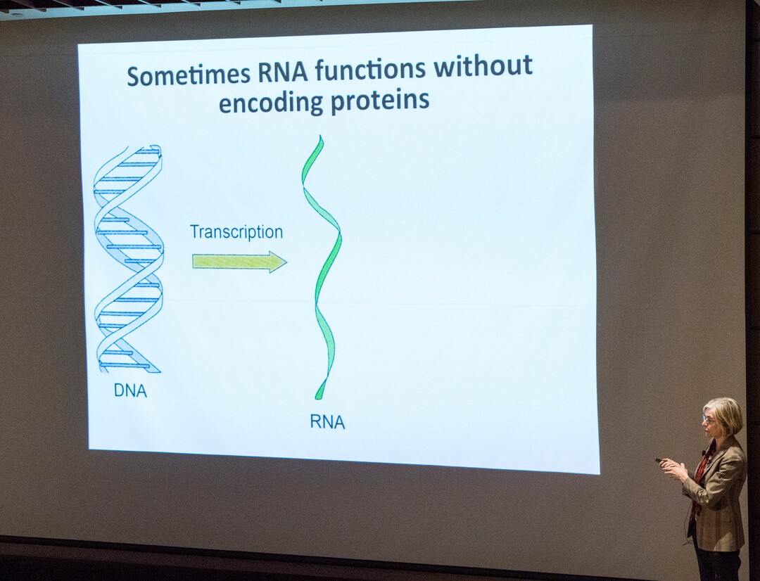 (Rick Egan  |  The Salt Lake Tribune)        UC Berkeley researcher Jennifer Doudna, gives a lecture on “Rewriting the Language of Life: The Biology, Technology and Ethics of DNA Editing."  at the Huntsman Cancer Institute, Thursday, March 22, 2018.