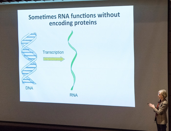 (Rick Egan  |  The Salt Lake Tribune)        UC Berkeley researcher Jennifer Doudna, gives a lecture on “Rewriting the Language of Life: The Biology, Technology and Ethics of DNA Editing."  at the Huntsman Cancer Institute, Thursday, March 22, 2018.



