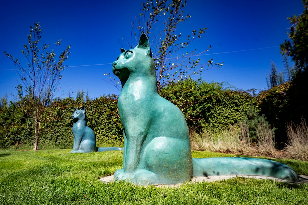 (Rick Egan | The Salt Lake Tribune) The "Dairy Cats" watch over the newly remodeled Joseph F. Steenblik Park in Rose Park, Monday, Sept. 21, 2026.
