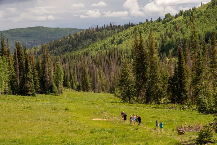 (Rick Egan | The Salt Lake Tribune)  Participants take a hike, during their week-long stay at the new Camp Hope, which the district attorneys office runs for kids who have observed or have been victims of violence, on Wednesday, June 30, 2021.