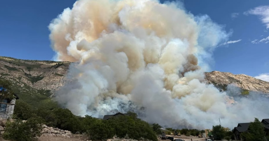 (Fox 13 News) The Willard Peak Fire, which was sparked from a vehicle fire, is currently 50-75 acres, and 15-20 structures are threatened.