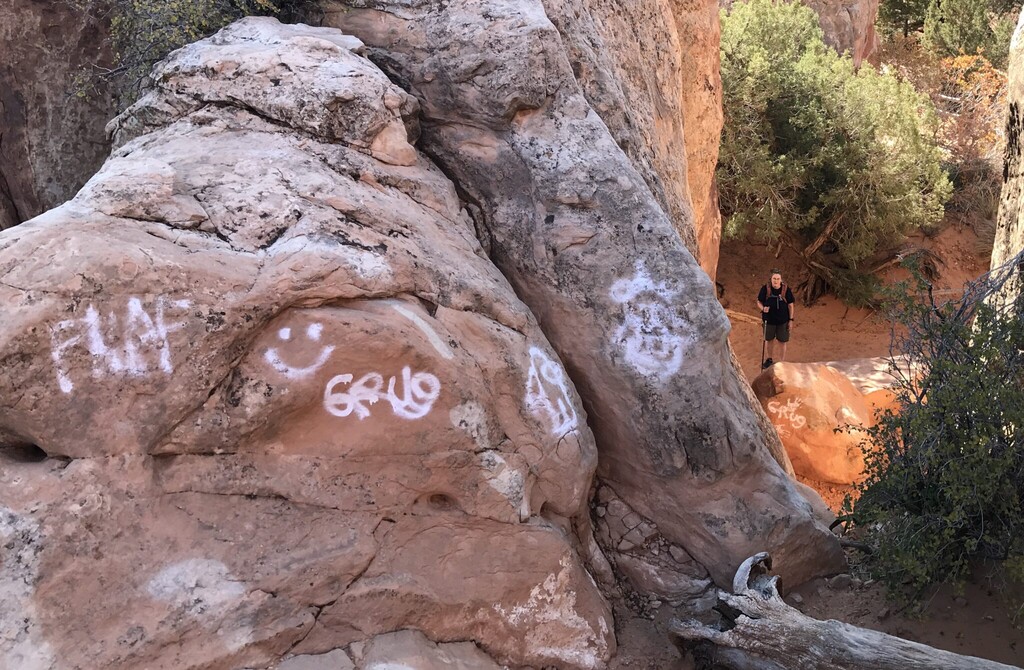 A retired National Park Service ranger discovered white spray-paint graffiti last week along the Devils Garden Trail in Arches National Park.