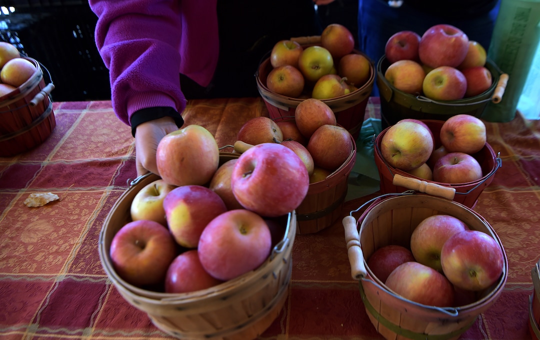 (Scott Sommerdorf   |  The Salt Lake Tribune)   Fresh apples for sale at the Pyne Farms booth at the Rio Grande Winter Market, Saturday, November 11, 2017. The market is a project of Urban Food Connections of Utah and will be held every Saturday, through April 21st, from 10 AM - 2 PM.