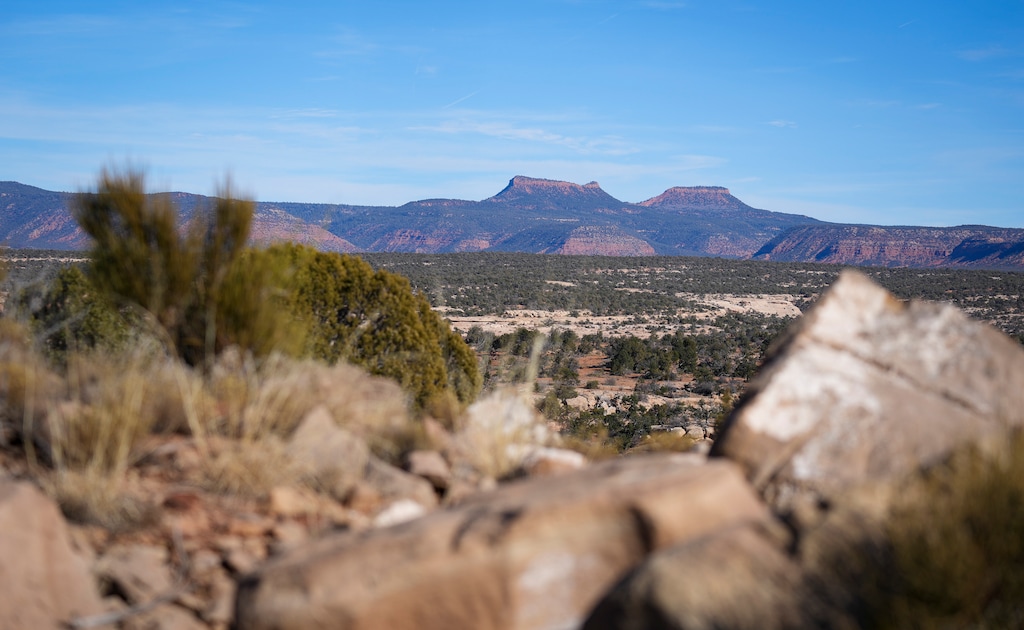 (Bethany Baker  |  The Salt Lake Tribune) The Bears Ears buttes inside Bears Ears National Monument near Blanding on Wednesday, Dec. 18, 2024.
