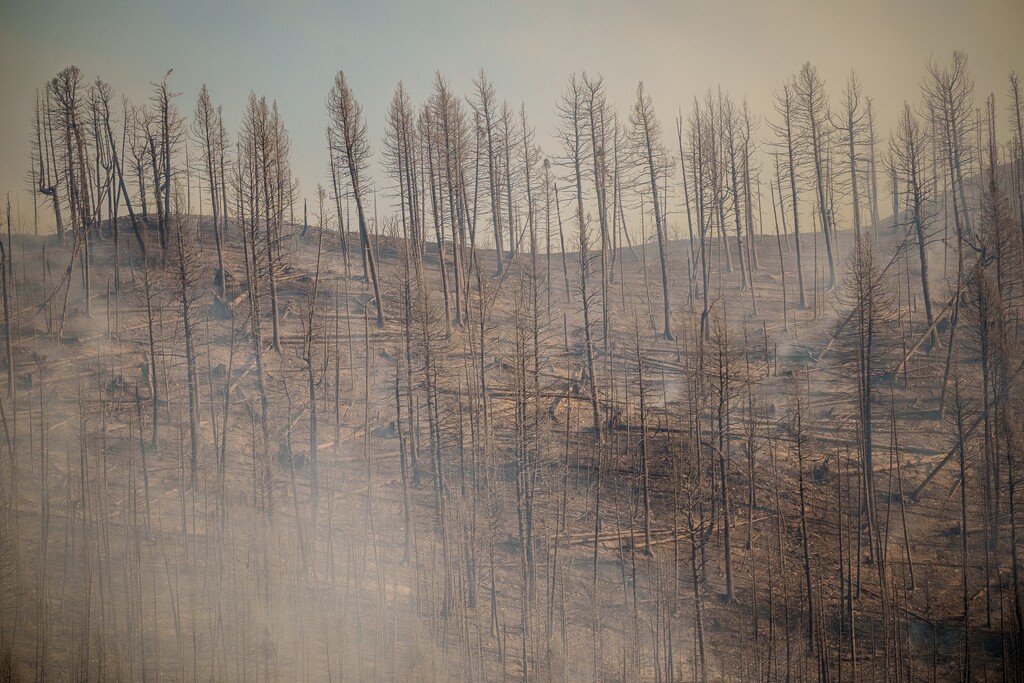 (Trent Nelson  |  The Salt Lake Tribune) The Parleys Canyon Fire on Saturday, Aug. 14, 2021.