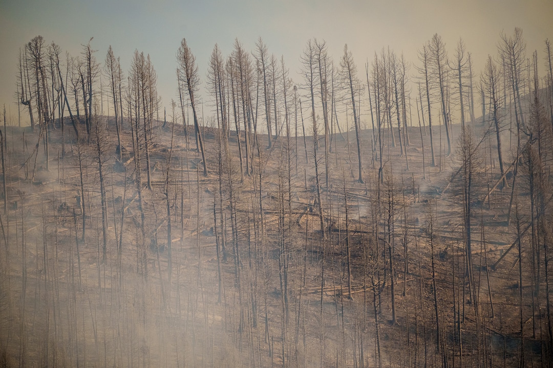 (Trent Nelson  |  The Salt Lake Tribune) The Parleys Canyon Fire on Saturday, Aug. 14, 2021.