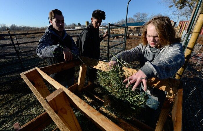Francisco Kjolseth | The Salt Lake Tribune
Justin Lansberry, Erik Miranda and Matthew Hamelin, from left, feed the goats as part of their school's farm program. At Roots, Utah's first farm-based charter school in West Valley City, students get hands on experience working at the school's farm just down the street from the school. 
A legislative task form is recommending changes to the way Utah's charter schools are funded. 