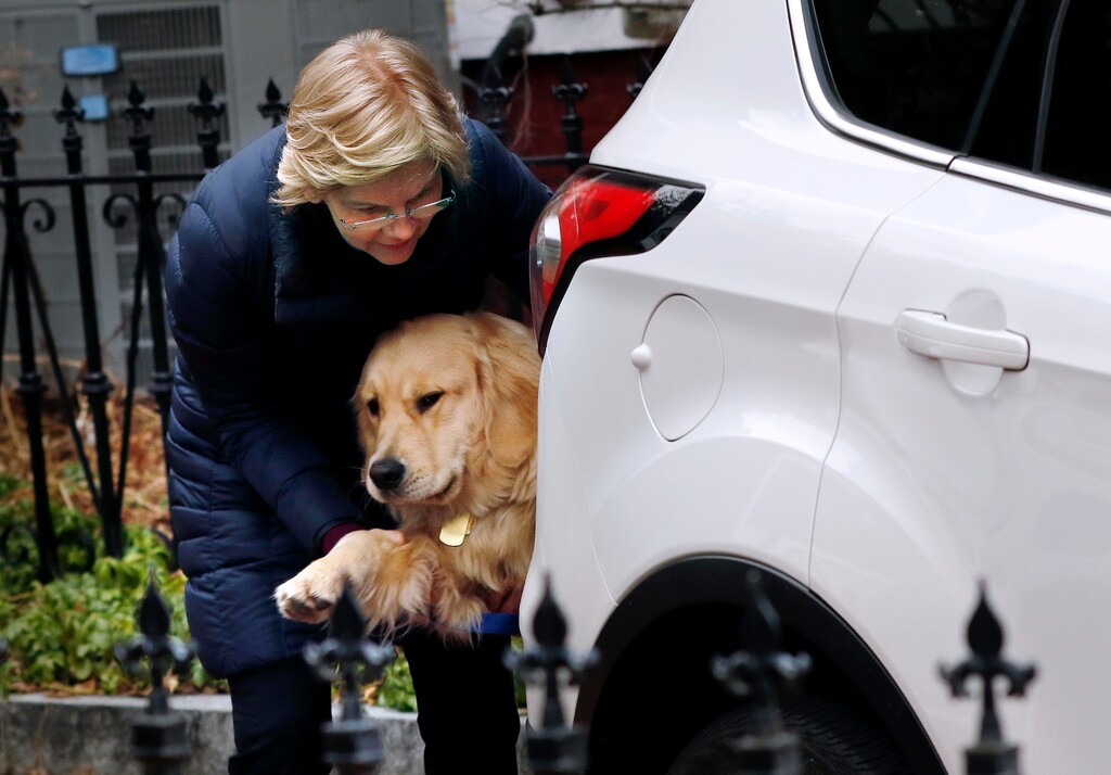 Sen. Elizabeth Warren, D-Mass., loads her retriever Bailey into her vehicle after speaking outside her home, Monday, Dec. 31, 2018, in Cambridge, Mass. Warren on Monday took the first major step toward launching a widely anticipated campaign for the presidency, hoping her reputation as a populist fighter can help her navigate a Democratic field that could include nearly two dozen candidates. (AP Photo/Bill Sikes)