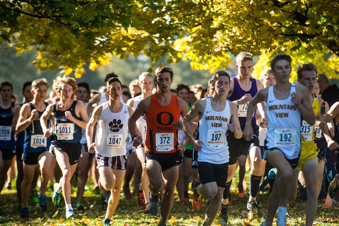 (Chris Detrick  |  The Salt Lake Tribune)  Runners compete during the 4A boy's state cross-country meet at Sugar House Park and Highland High School Wednesday, October 18, 2017. 