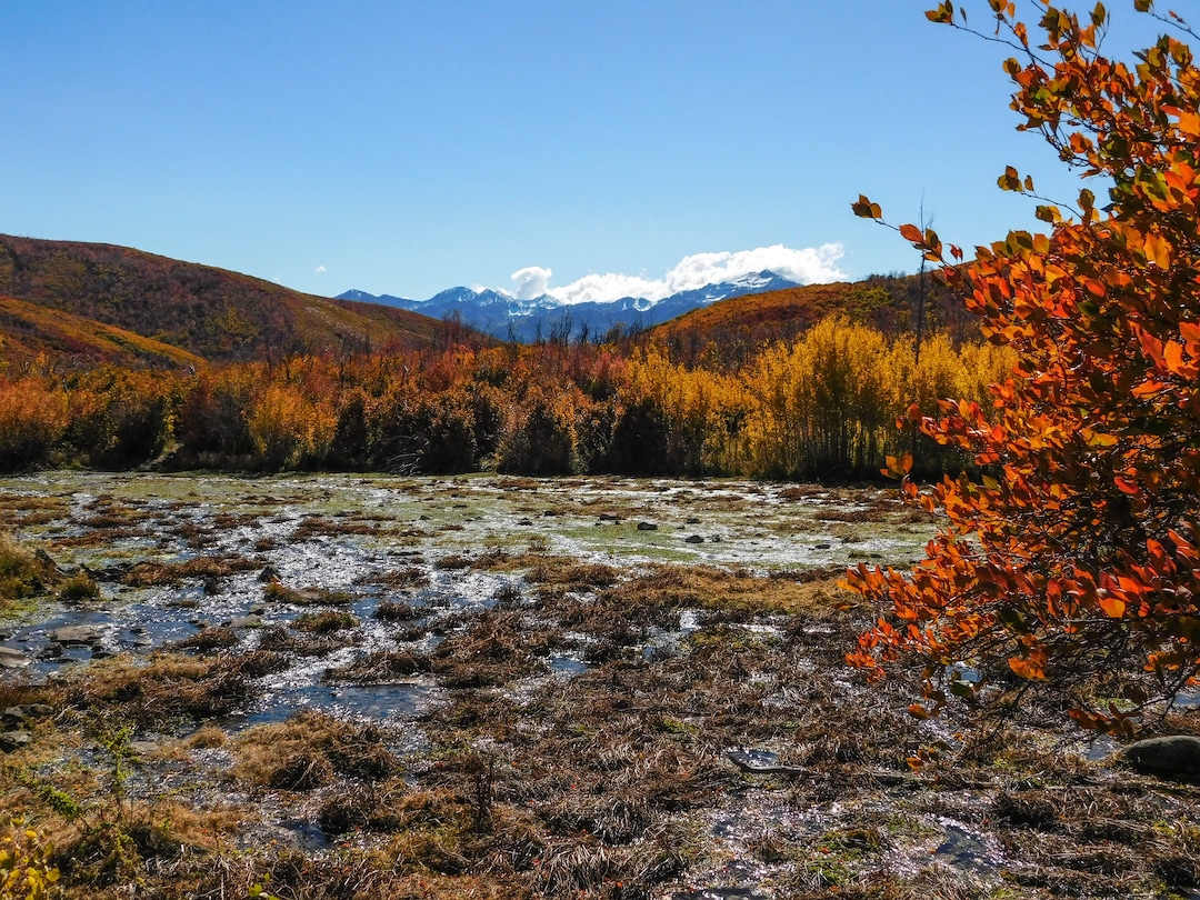 (Erin Alberty|The Salt Lake Tribune) Maples, oak and aspen line Cascade Springs with fall color on Oct. 9, 2017 in Wasatch County.