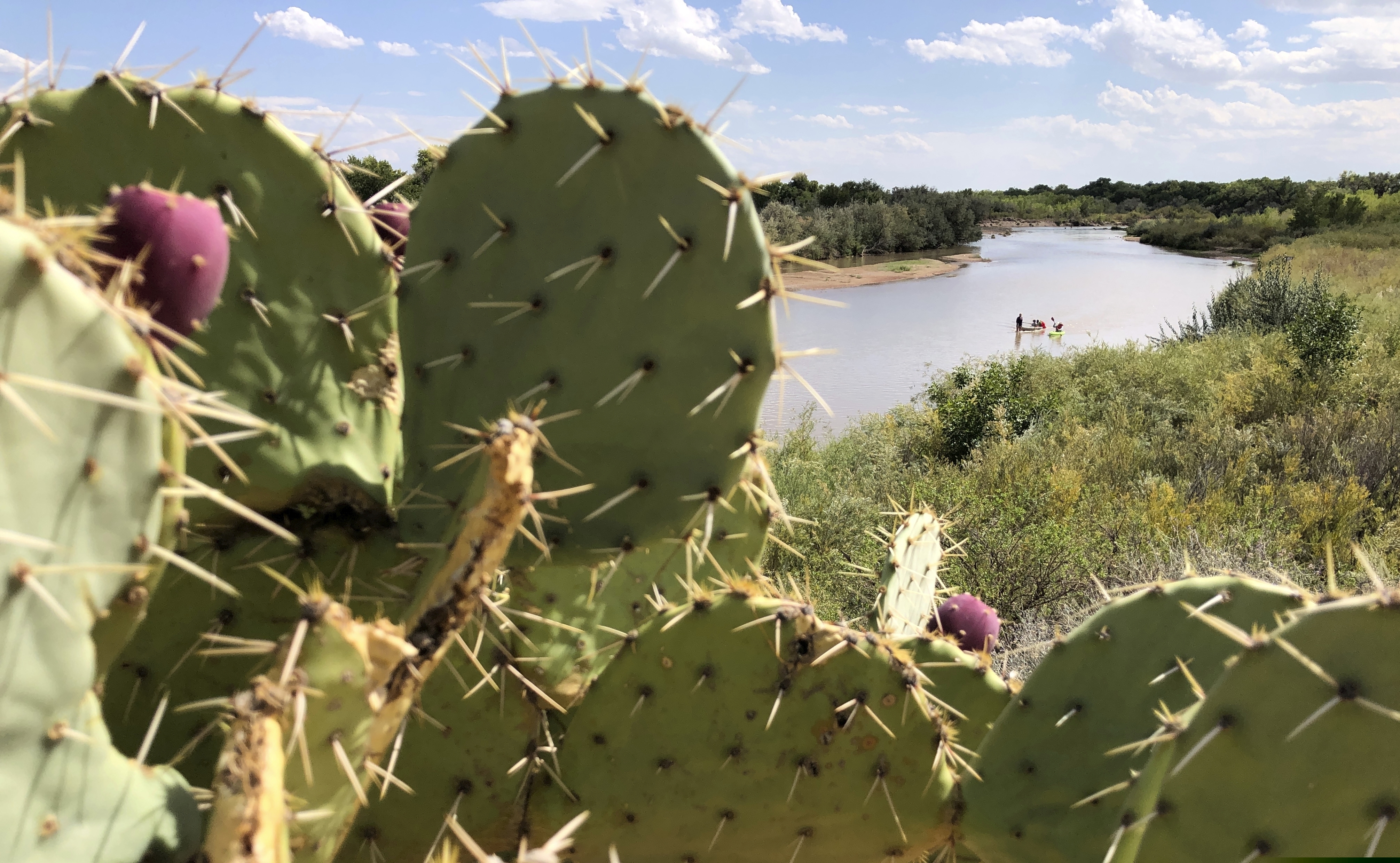 (Susan Montoya Bryan | AP) Cactus flanks the banks of the Rio Grande as boaters in the distance navigate the shallow river as it flows through Rio Rancho, N. M., on Monday, Aug. 31, 2020. New Mexico and other southwestern states have been dealing with dry conditions and warmer temperatures this summer.