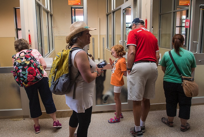 Leah Hogsten  |  The Salt Lake Tribune
A tour group on the Grand Tour stops at the "Puppy Pre-school" to see the new additions and play with a lucky puppy. Every year Best Friends welcomes about 30,000 visitors and 9,000 volunteers who spend more than one day donating their time. Best Friends saves thousands of animals every year as the nation's largest no-kill sanctuary, encompassing some 3,700 acres about 5 miles outside Kanab.
