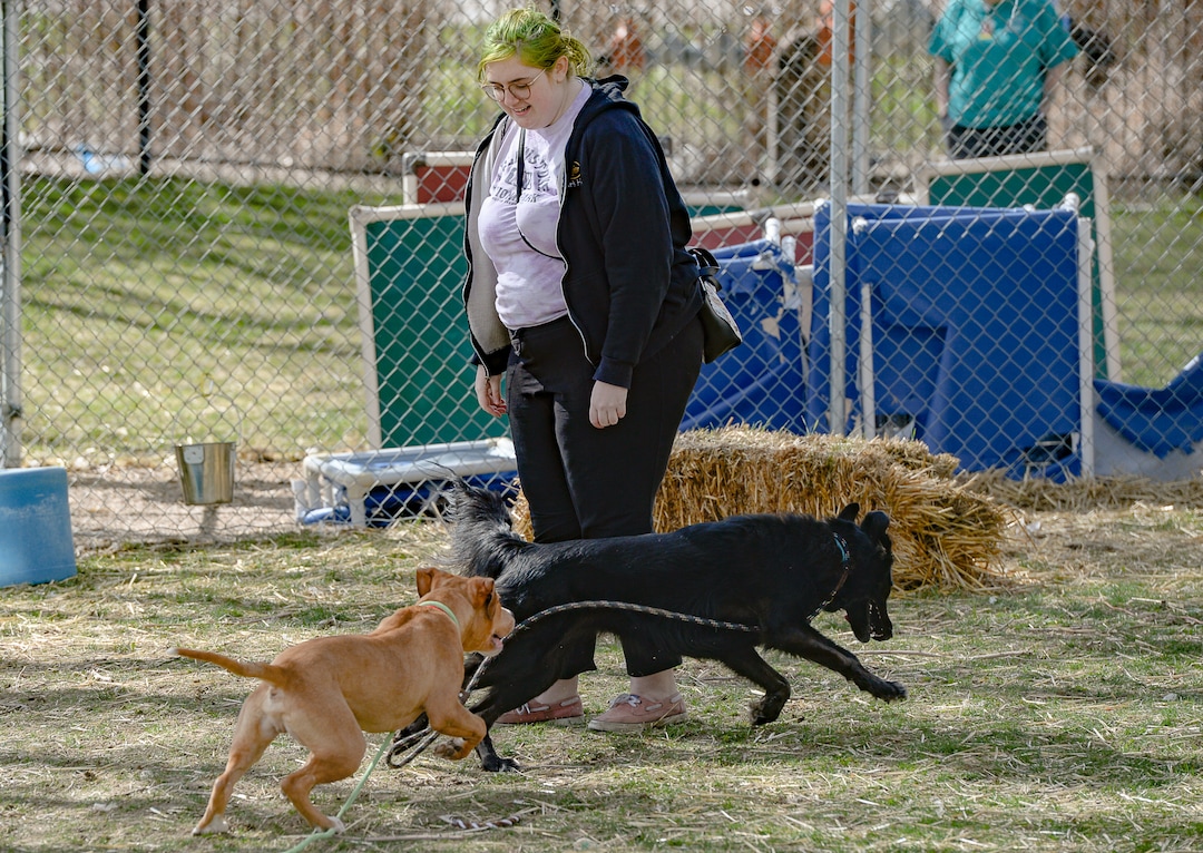 (Francisco Kjolseth  |  The Salt Lake Tribune) Asti Manning of Magna and her current dog Amy, meet Red for the first time at the West Valley City Animal Shelter on Thursday, April 2, 2020, for a dog-to-dog introduction as shelter staff maintain their distance due to COVID-19. Many shelters are experimenting with new ways to connect animals to potential owners without allowing people into the shelter. Despite numerous restrictions, adoption numbers seem to be up.