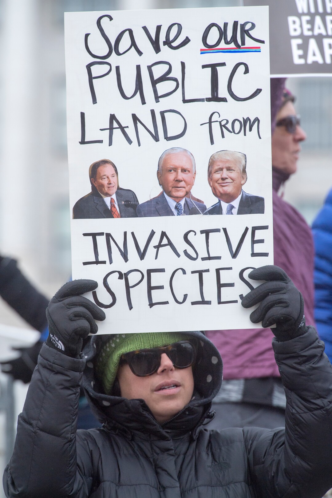 (Rick Egan  |  The Salt Lake Tribune)  Ann Burbidge holds a sign as protesters gather for President Trump's visit to Utah in front of the Utah State Capitol Building, as he is expected to shrink the Bears Ears and Grand Staircase monuments, Monday, December 4, 2017.