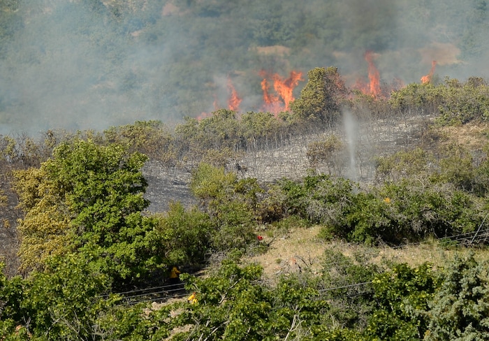 (Francisco Kjolseth  |  The Salt Lake Tribune) Fire crews battle a fire near Millcreek Canyon, on Saturday, July 11, 2020, started near 3400 South Crestwood Dr., as helicopters, single engine air tankers and multiple crews respond.