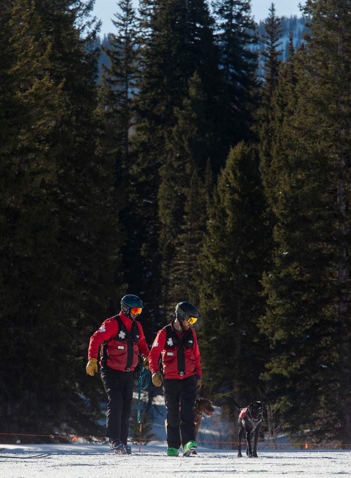 (Rick Egan  |  The Salt Lake Tribune)       Solitude Avalanche dog Joni with her handler, Jasper Anderson and Lumen with his handler, Trevor John, Thursday, March 5, 2020.