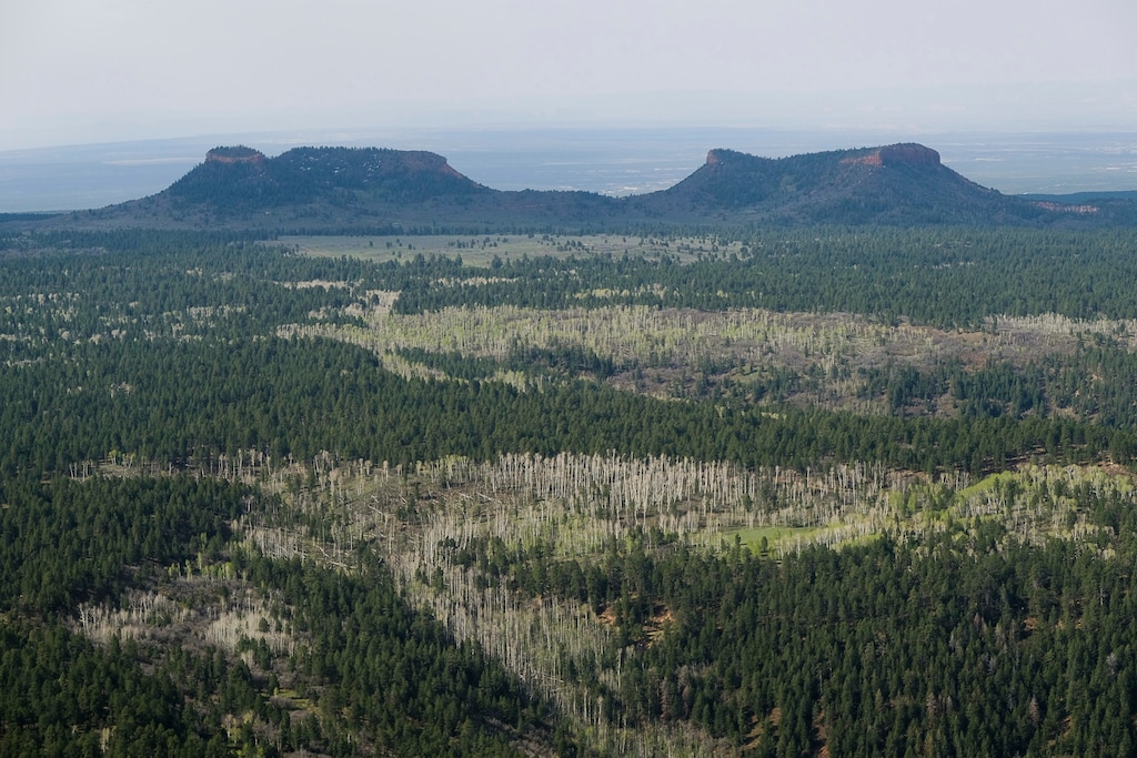 (Francisco Kjolseth | Tribune file photo) This Dec. 28, 2016, file photo shows the two buttes that make up the namesake for Utah's Bears Ears National Monument in southeastern Utah. When President-elect Joe Biden takes office, he is expected to restore the monument to its original size, along with the Grand Staircase-Escalante National Monument.