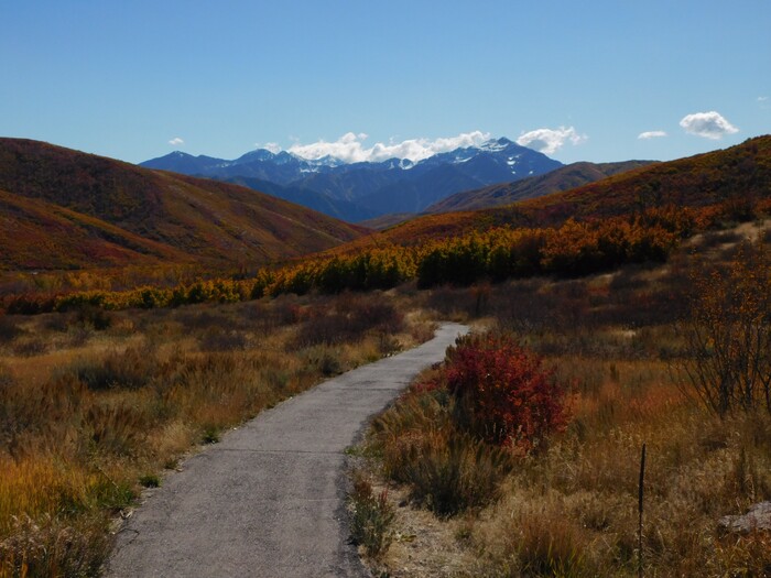 (Erin Alberty|The Salt Lake Tribune) Autumn leaves radiate color around the Cascade Springs Trail on Oct. 9, 2017 in Wasatch County.