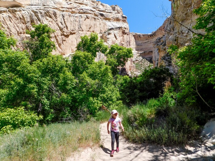 Erin Alberty  |  The Salt Lake TribuneA young hiker exits Box Canyon on May 29, 2017 in Dinosaur National Monument.