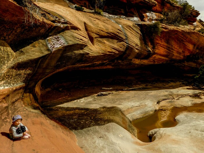 Erin Alberty|The Salt Lake Tribune Many Pools is a beautiful, family-friendly hike with little traffic and great educational value in Zion National Park. Photo taken March 10, 2017.