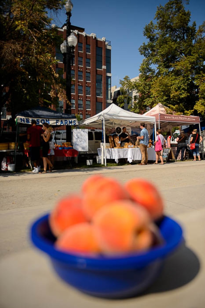 (Trent Nelson | The Salt Lake Tribune)  The Tuesday Farmer's Market in Salt Lake City's Pioneer Park, Tuesday Aug. 14, 2018. The laid-back market continues now through September and features about 20 vendors.