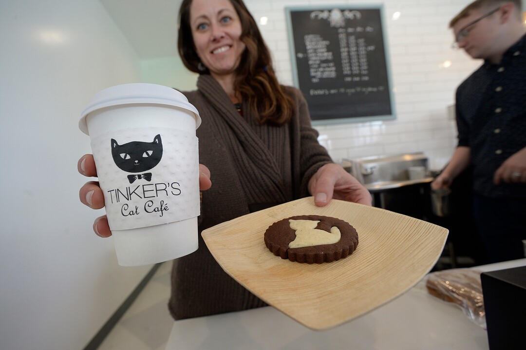 (Scott Sommerdorf   |  The Salt Lake Tribune)   Tinker's Cat Cafe owner Lisa Boone with coffee and a cookie .