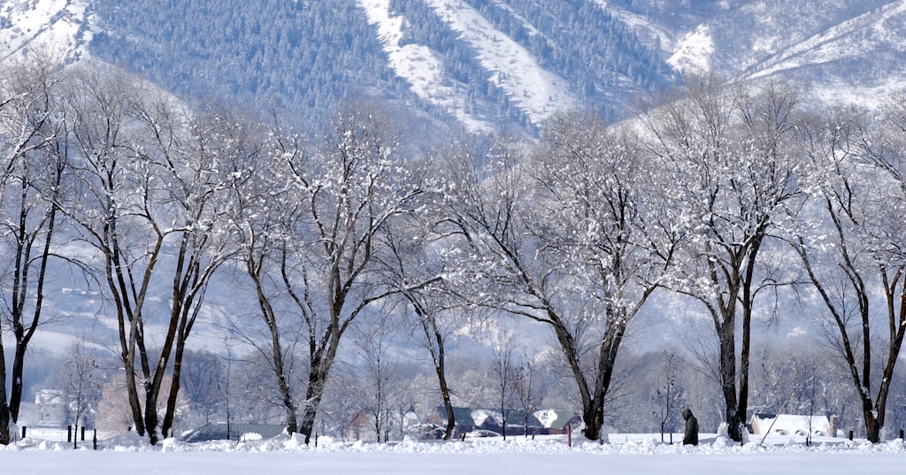A solitary Trappist monk walks down a snowy tree-lined road near the monastary in Huntsville. Trappist Monks at the Abbey of the Holy Trinity in Huntsville, Utah.Photo by Trent Nelson 01.30.2002, 12:04:12 PM