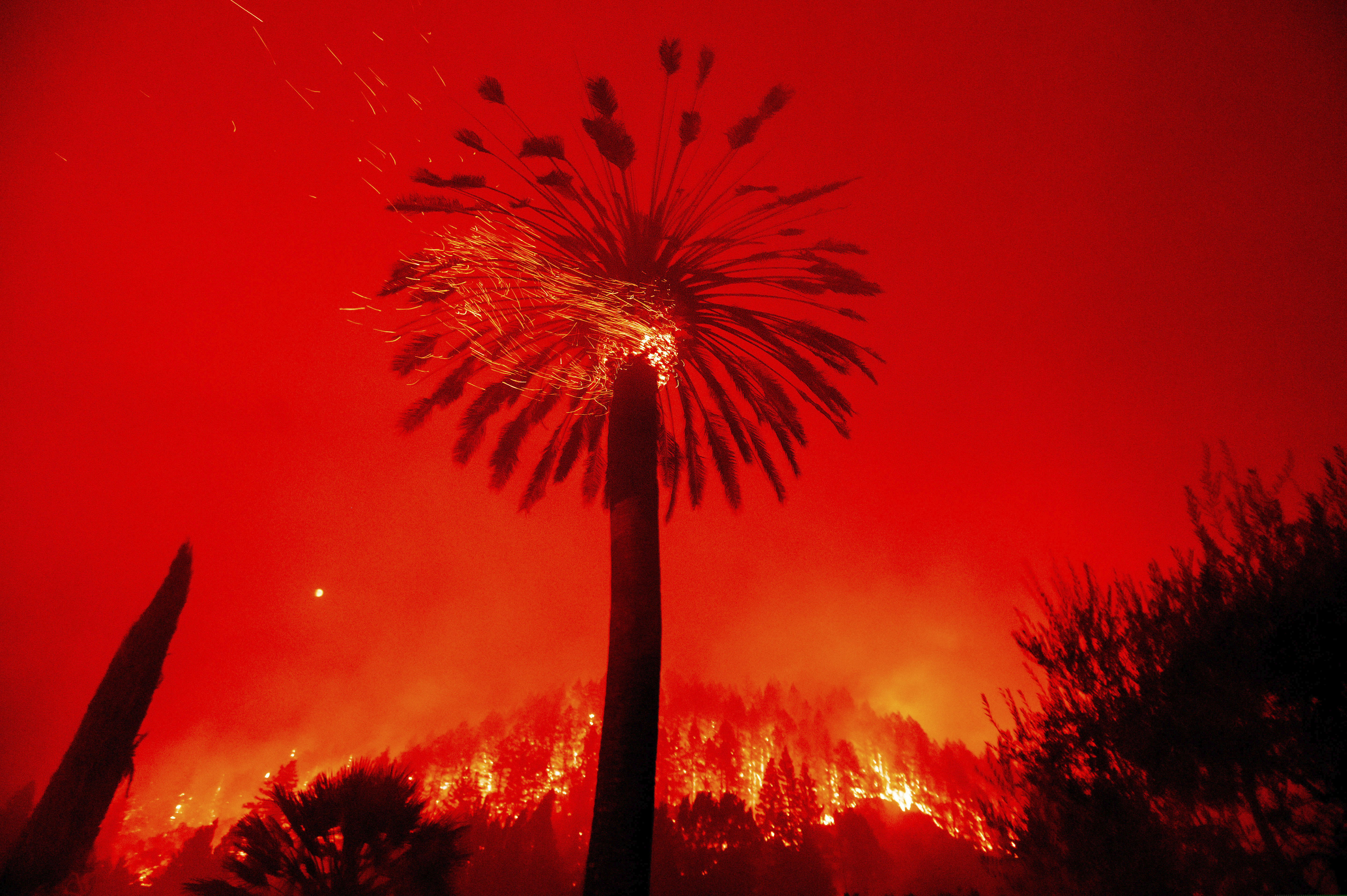 (Noah Berger | AP photo)

Embers fly from a tree as the Glass Fire burns in St. Helena, Calif., Sunday, Sept. 27, 2020.