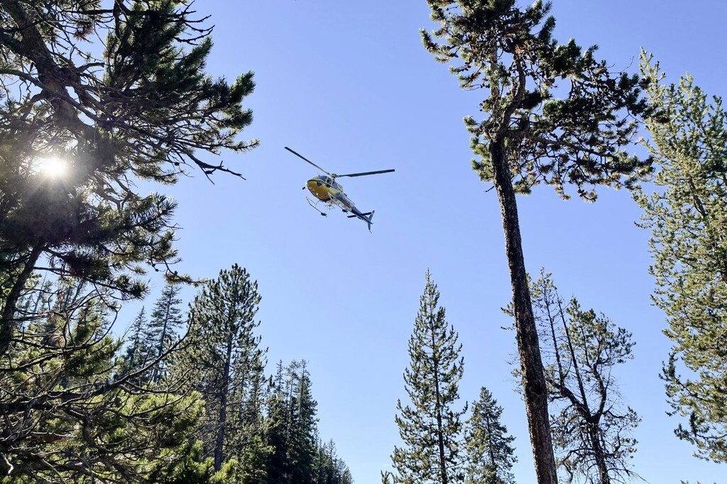 (Brian Wick | National Park Service) A Grand Teton National Park interagency helicopter searches for missing Utah man Kim Crumbo in Yellowstone National Park near Shoshone Lake.
