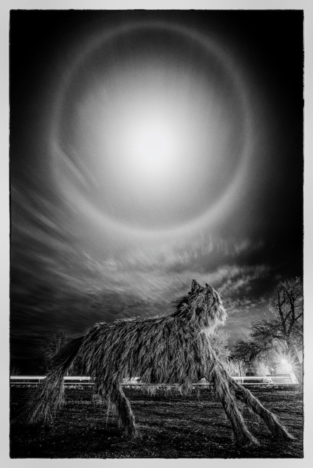 (Photo courtesy of Paul Martini) Joe Pachak's 2018 coyote sculpture in Bluff, Utah.