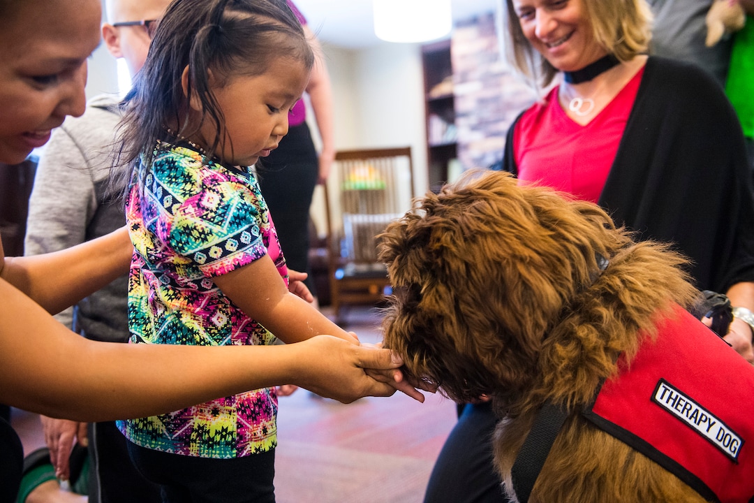 Chris Detrick  |  The Salt Lake Tribune
Lyla Jones gives a treat to Ollie, the Chief PAWSitivity Officer at the Ronald McDonald House Wednesday May 25, 2016. Ollie is a certified facility therapy dog, trained to offer comfort to guests and the group's smallest pediatric patients.