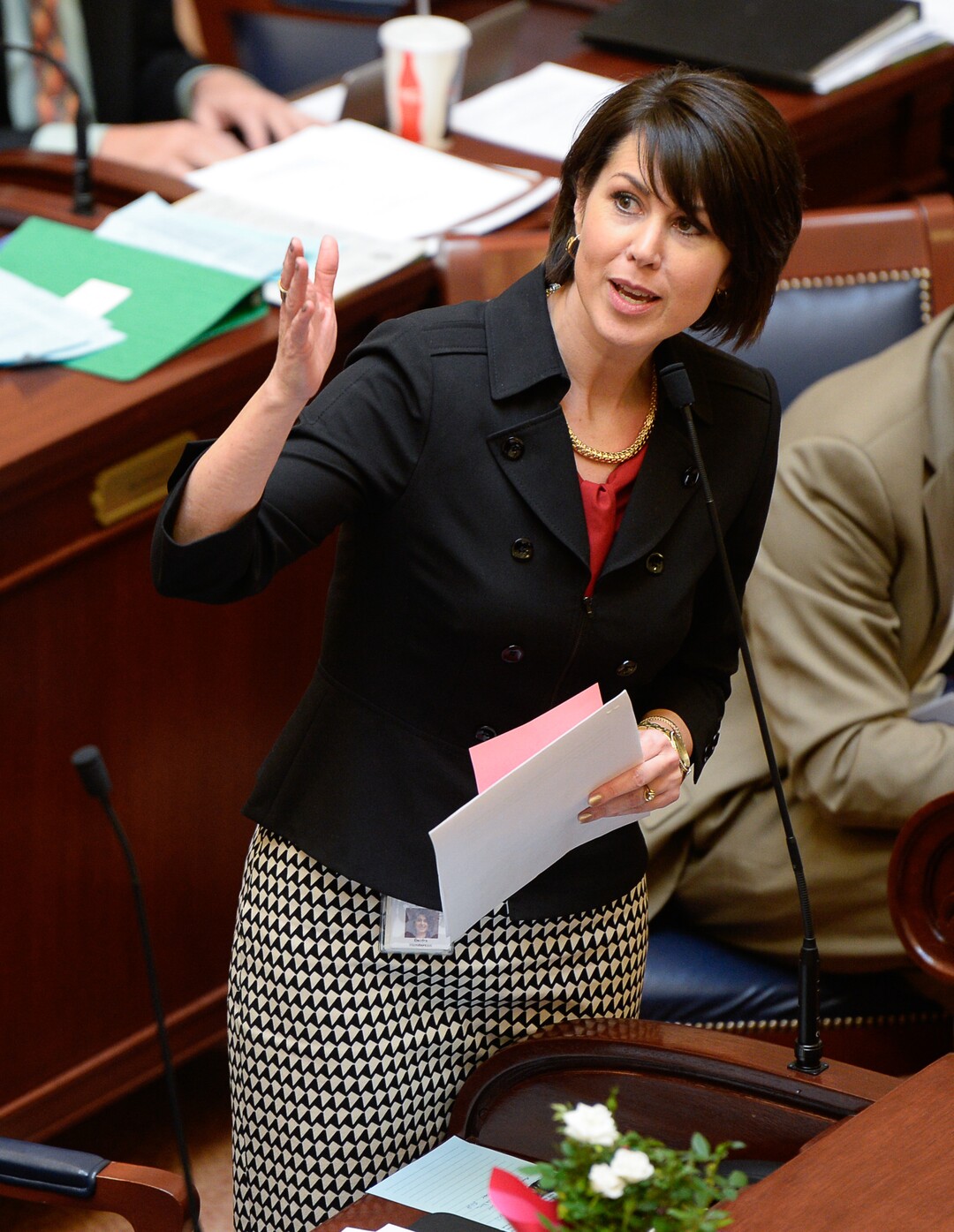 Deidre Henderson served in the Utah State Senate 2013-2019.