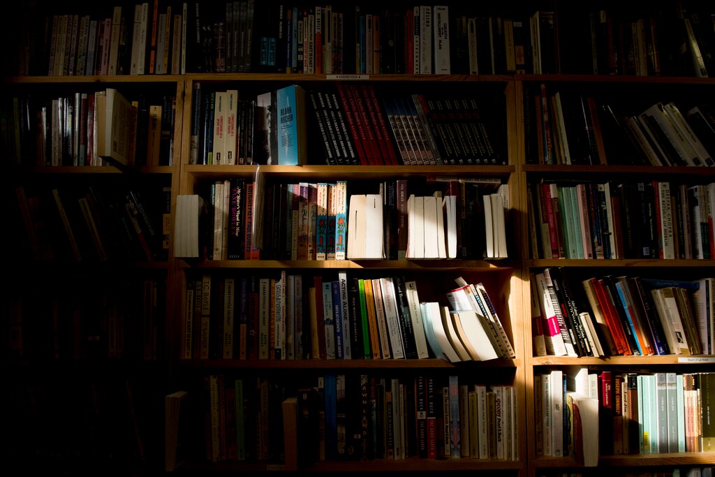 (Jeremy Harmon  |  The Salt Lake Tribune) Sunlight streams across shelves at Ken Sanders Rare Books in Salt Lake City on January 16, 2020.