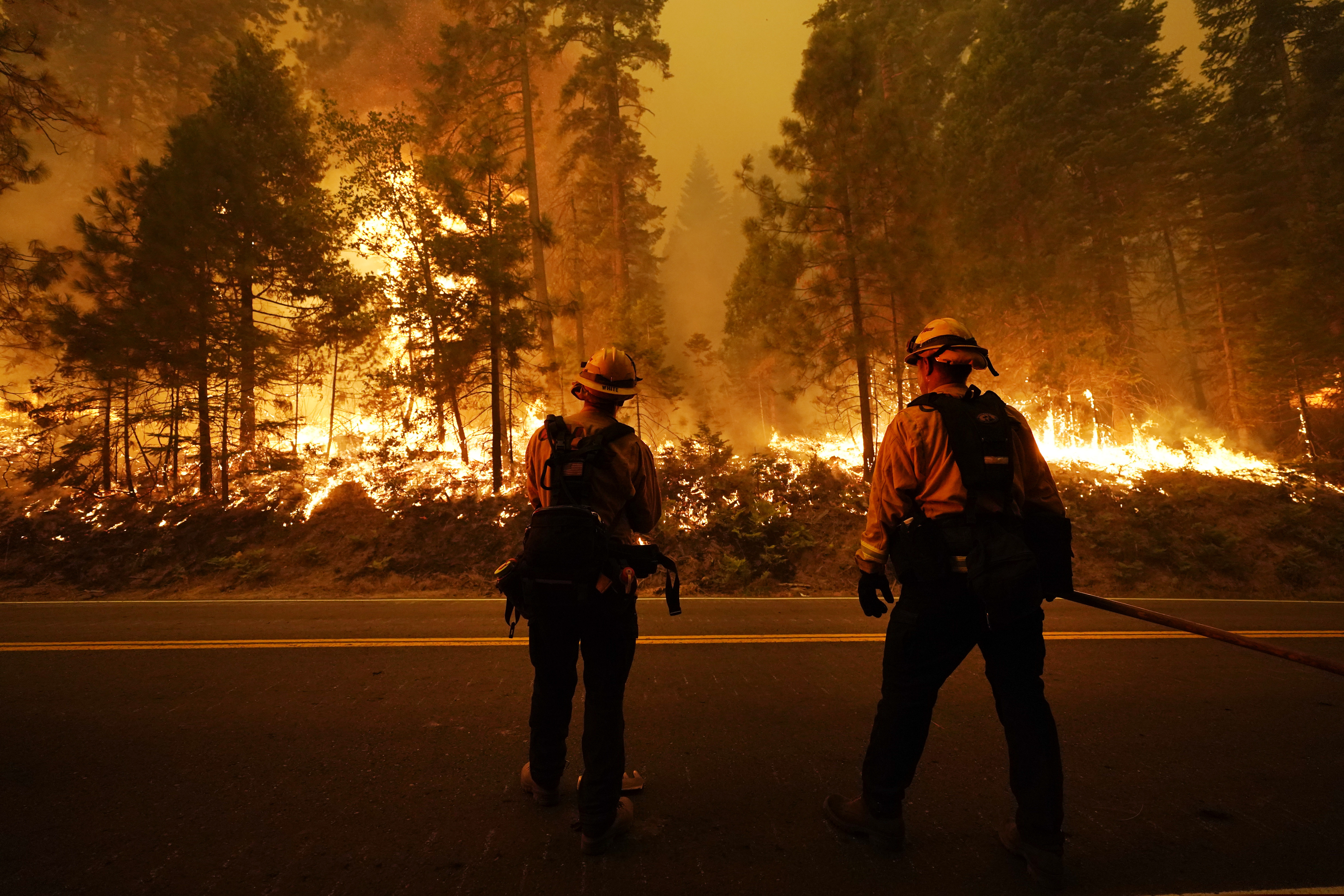 (Marcio Jose Sanchez | AP)  Firefighters keep an eye on the Creek Fire along state Highway 168, Sunday, Sept. 6, 2020, in Shaver Lake, Calif.