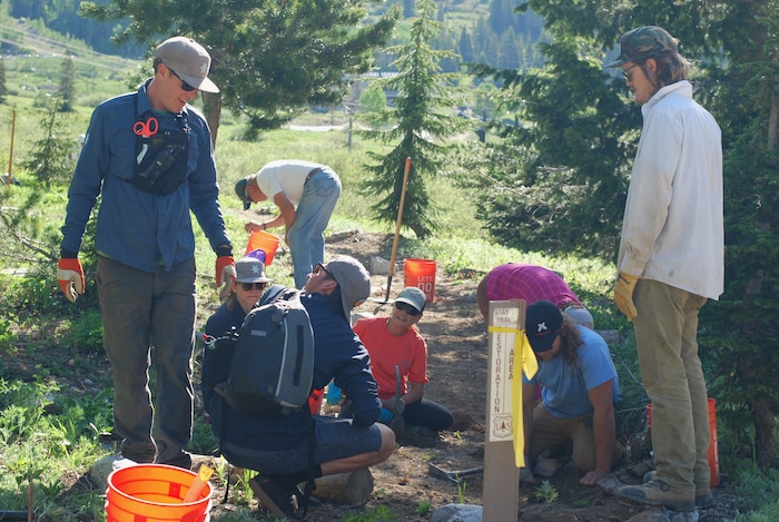 (Sara Tabin | The Salt Lake Tribune) Coleman Worthen of the Alta Environmental Center talks to trail volunteers at the 2019 Town of Alta Restoration Day held Saturday, July 6, 2019.