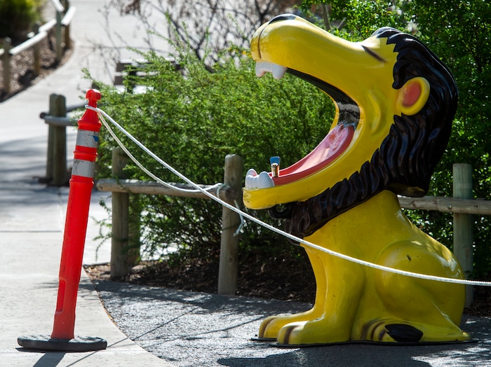 (Rick Egan  |  The Salt Lake Tribune)  The iconic Lion drinking fountain is roped off for safety, as Hogle Zoo re-opened for visitors, with special rules for social distancing, Saturday May 2, 2020