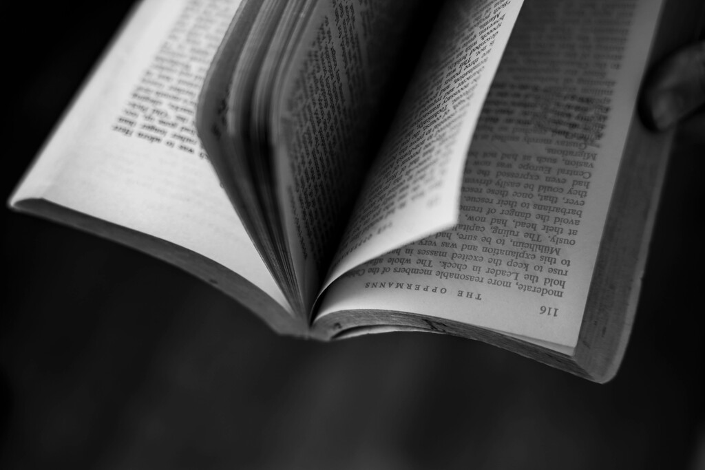 (Karsten Moran | The New York Times)

A copy of Lion Feuchtwanger’s 1933 novel “The Oppermanns" in New York, on Oct. 6, 2022. "Reading (this book) is like staring into the worst of next week," writes the New York Times columnist Pamela Paul.