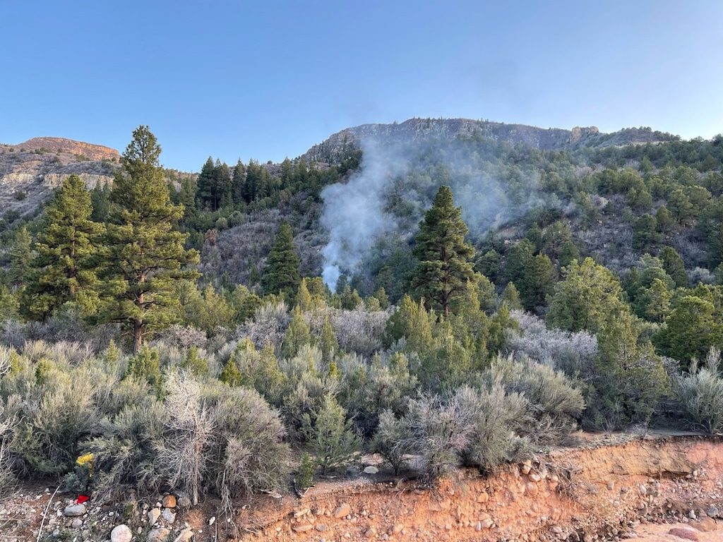 (Iron County Sheriff's Office) The scene of a small-engine plane crash that occurred near Cedar City and left four people dead.