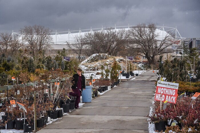 (Francisco Kjolseth  |  The Salt Lake Tribune)  Wednesday marks the official last day of business for Wasatch Shadows garden and landscape center in Sandy as a customers looks over the various plants with the Real Soccer Stadium in the background. After 42 years, owners, Loren and Debbie Nielsen, are retiring. They have sold the 10 acre plot to Sandy City for future development.