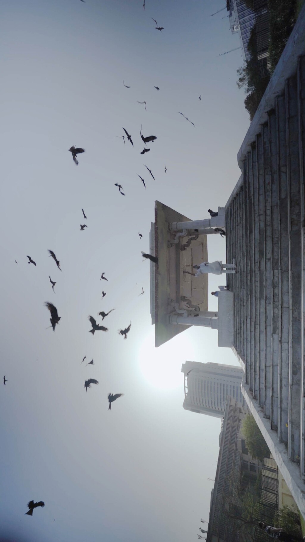 (HBO Documentary Films) Black kites fly around Delhi in the documentary "All That Breathes," directed by Shaunak Sen, which is scheduled to screen Wednesday, April 5, 2023, at the City Library auditorium in Salt Lake City.